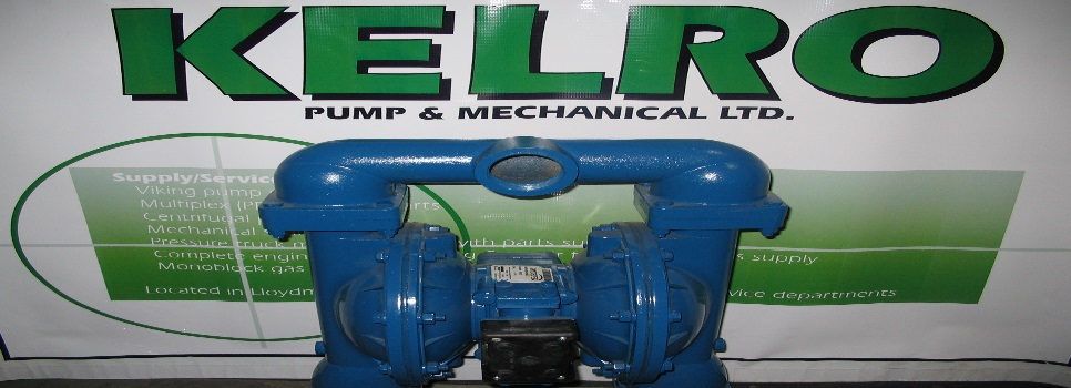 Diaphragm Pump 3