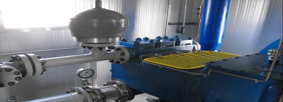 Pump with Dampener
