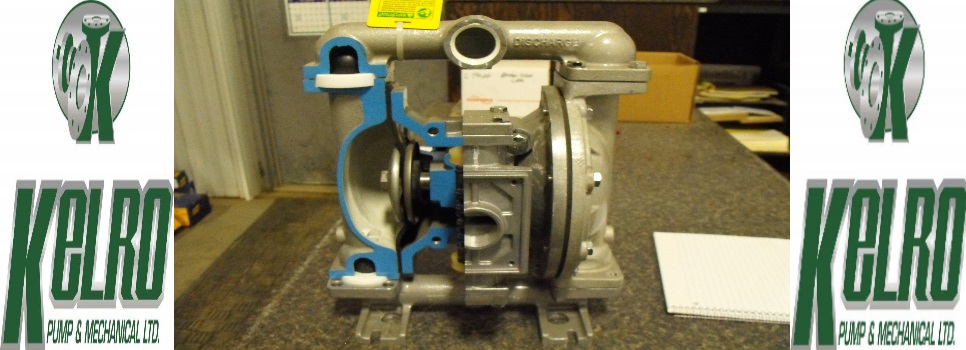 Diaphragm Pump 2